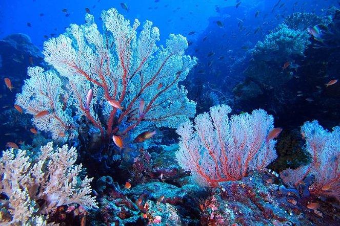 原创倪光南被扫地出门,柳传志痛哭流涕!倪老精辟评价:戏精